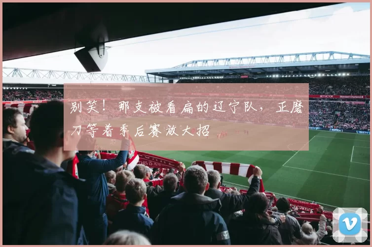 别笑！那支被看扁的辽宁队，正磨刀等着季后赛放大招